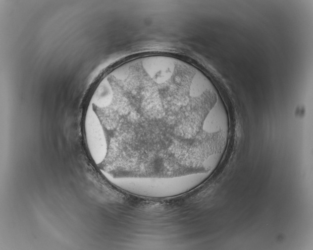 X0000111031222200907091537