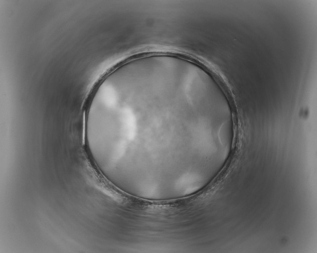 X0000111031223200907091537