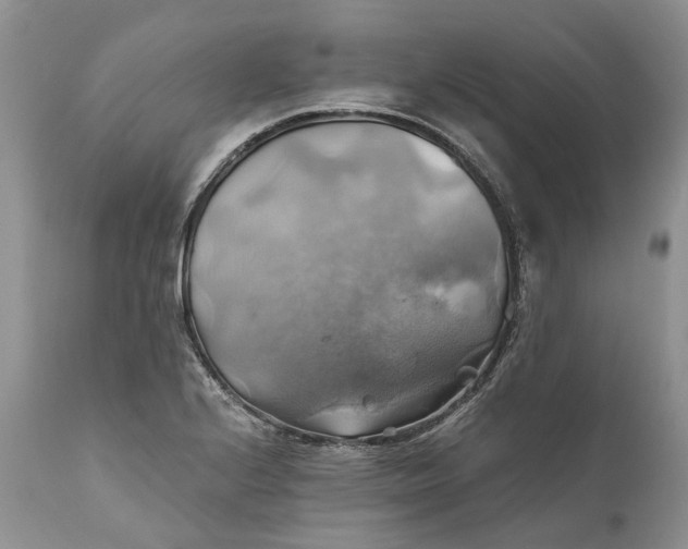 X0000111031224200907091537