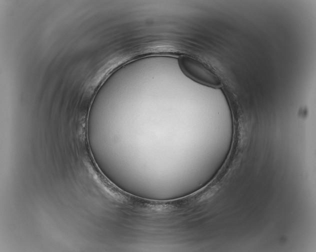 X0000111031225200907091537