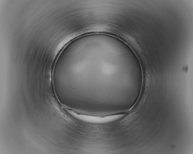 X0000111031226200907091537