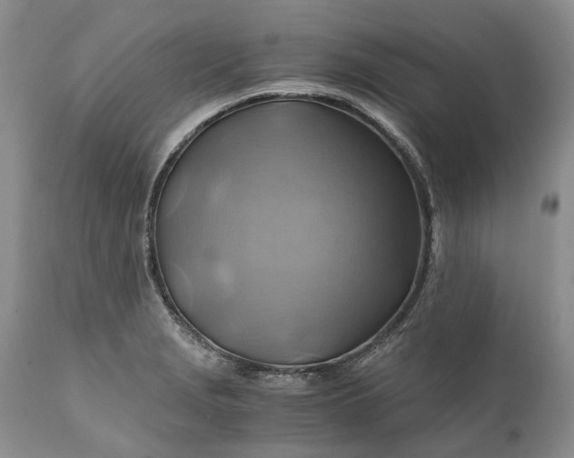 X0000111031229200907091537