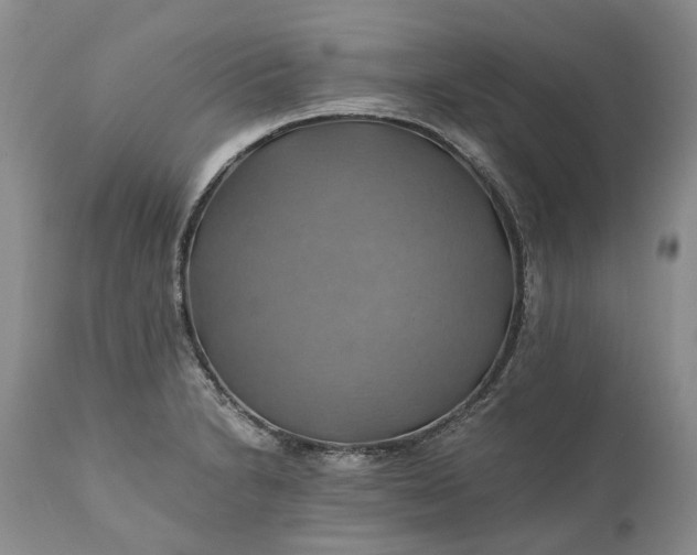 X0000111031230200907091537
