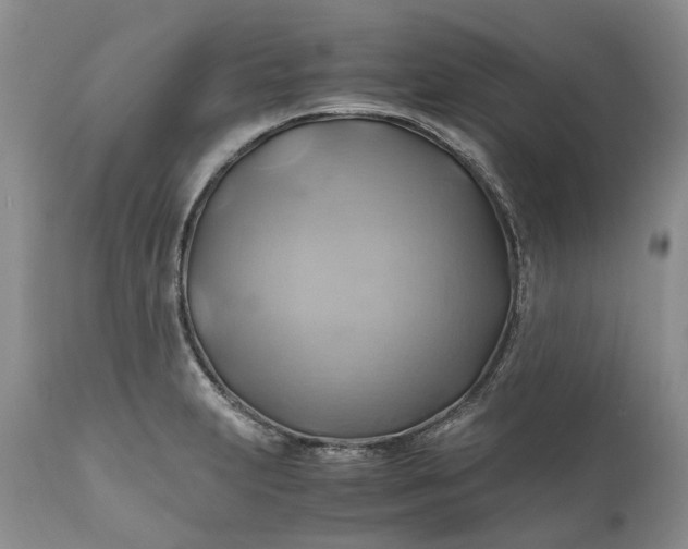 X0000111031231200907091537
