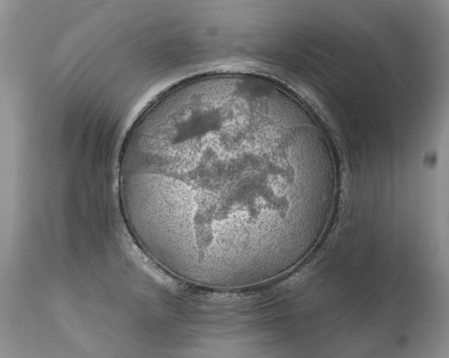 X0000111031232200907091537