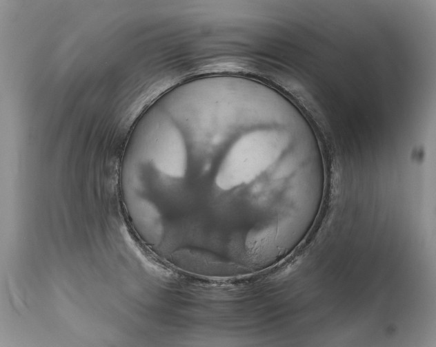 X0000111031233200907091537