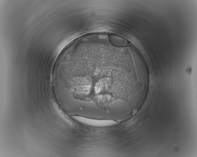 X0000111031234200907091537