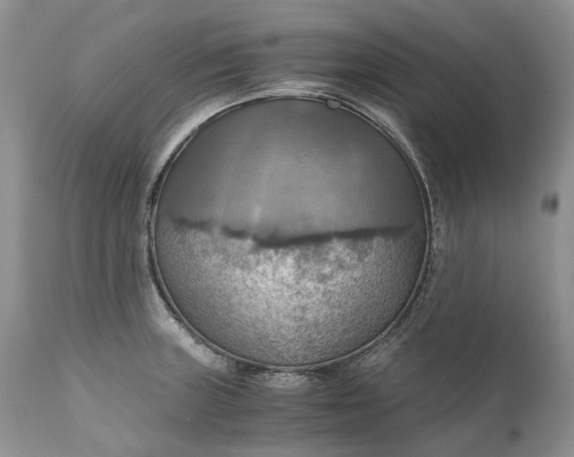 X0000111031235200907091537