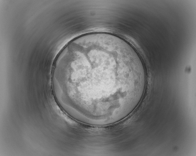 X0000111031236200907091537
