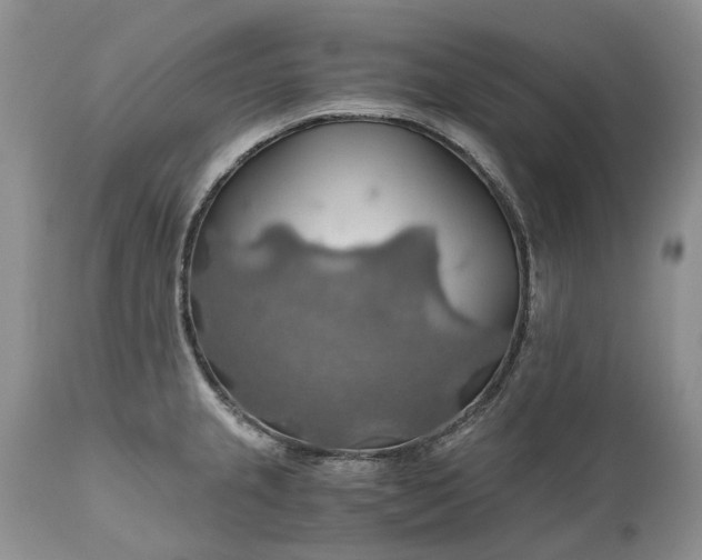X0000111031237200907091537