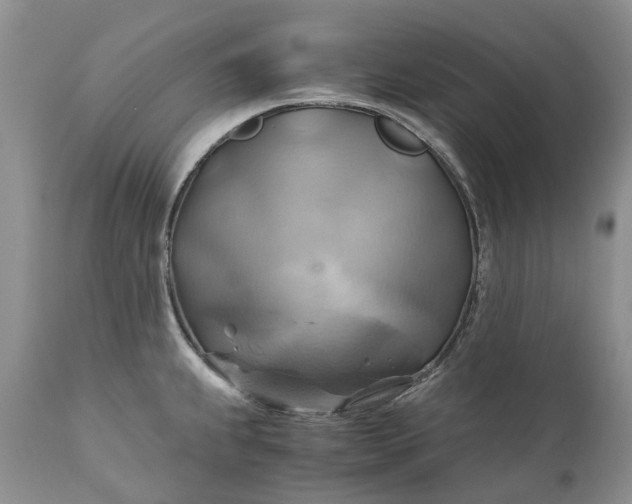 X0000111031239200907091537
