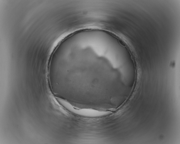 X0000111031240200907091537