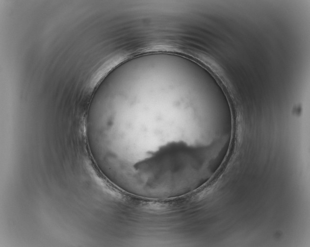 X0000111031241200907091537