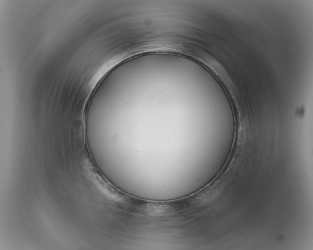 X0000111031242200907091537