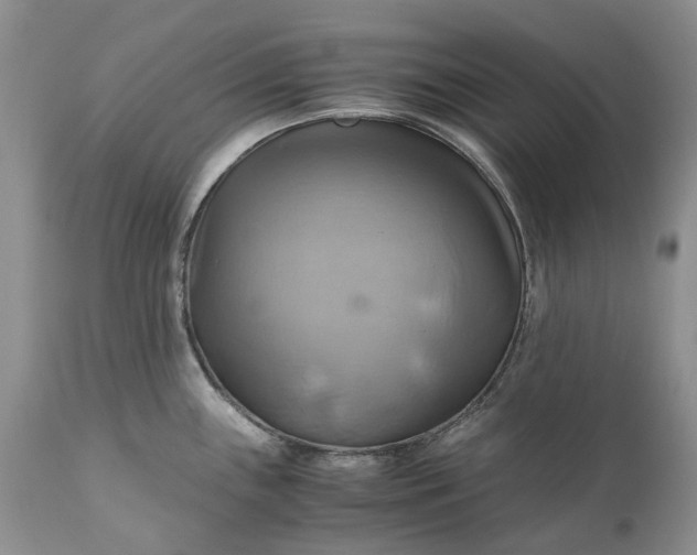 X0000111031243200907091537