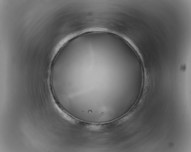 X0000111031245200907091537