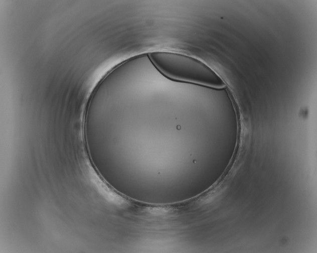 X0000111031246200907091537