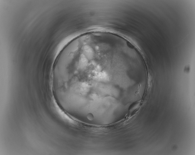 X0000111031247200907091537