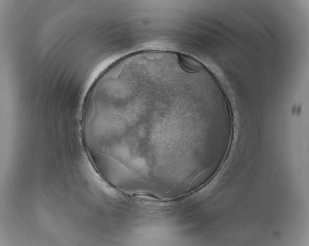 X0000111031248200907091537