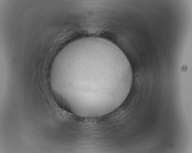 X0000111031249200907091536