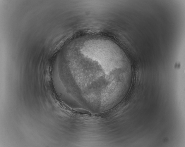 X0000111031250200907091536