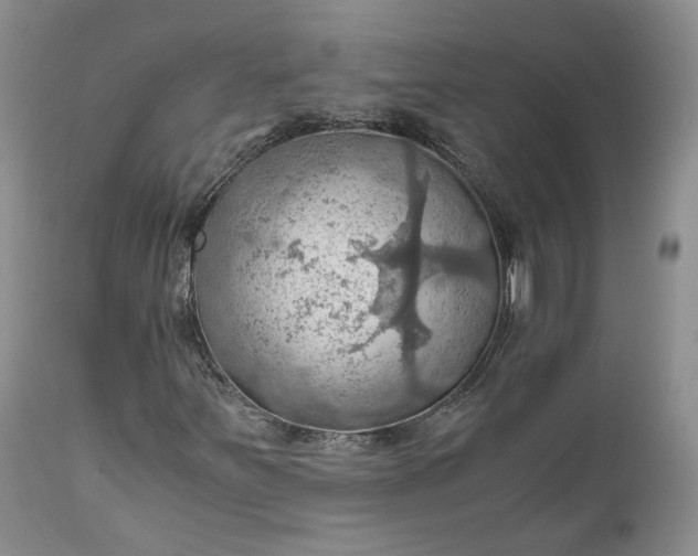 X0000111031251200907091536