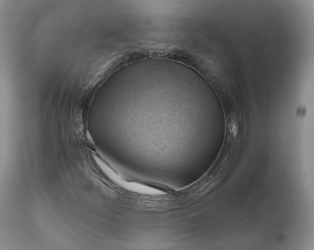 X0000111031252200907091536