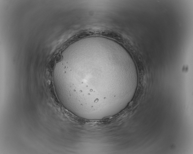 X0000111031253200907091536