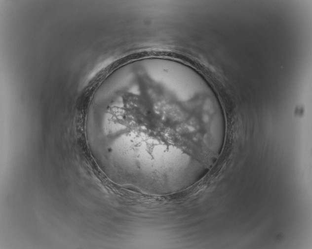 X0000111031255200907091536