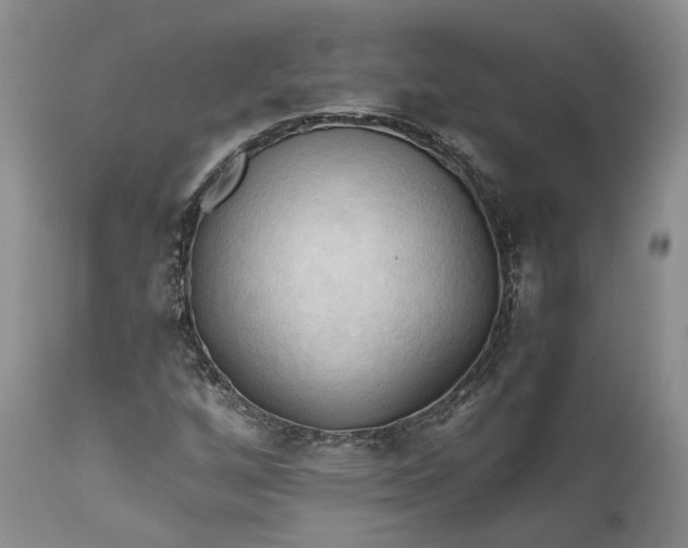 X0000111031256200907091536