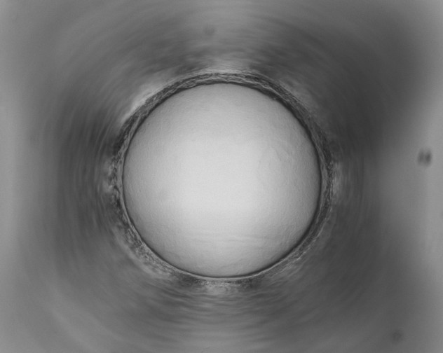 X0000111031258200907091536