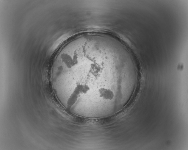 X0000111031259200907091536