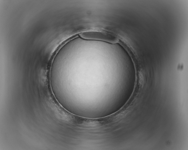 X0000111031260200907091536