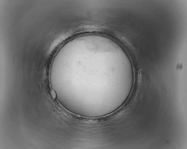 X0000111031261200907091536