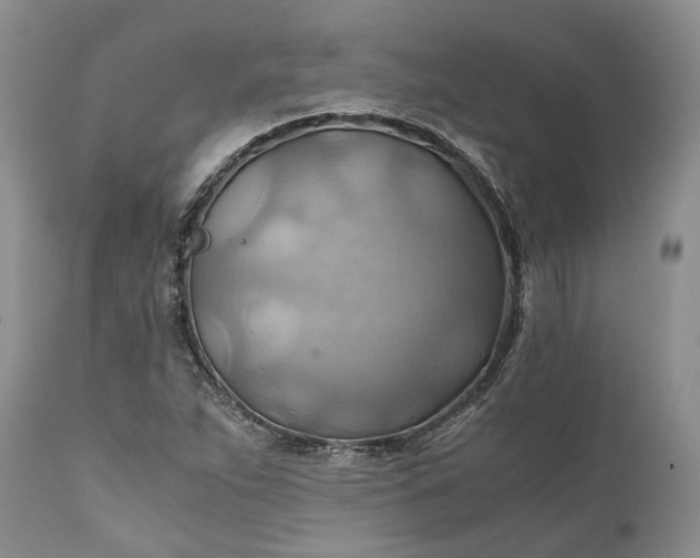 X0000111031263200907091536