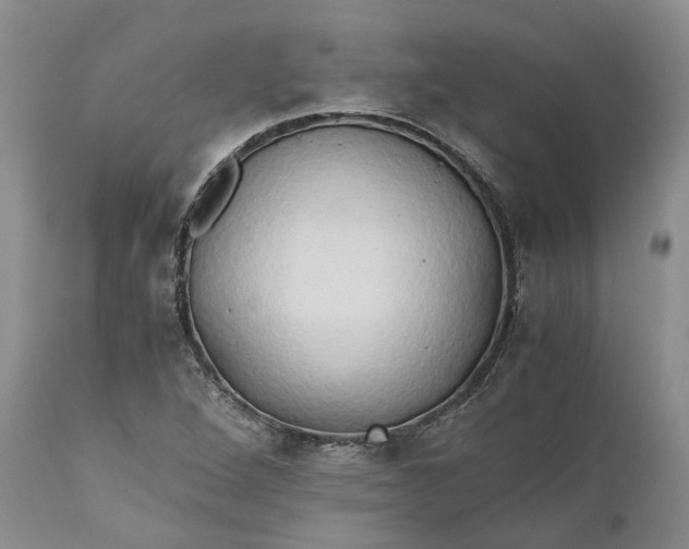 X0000111031264200907091536