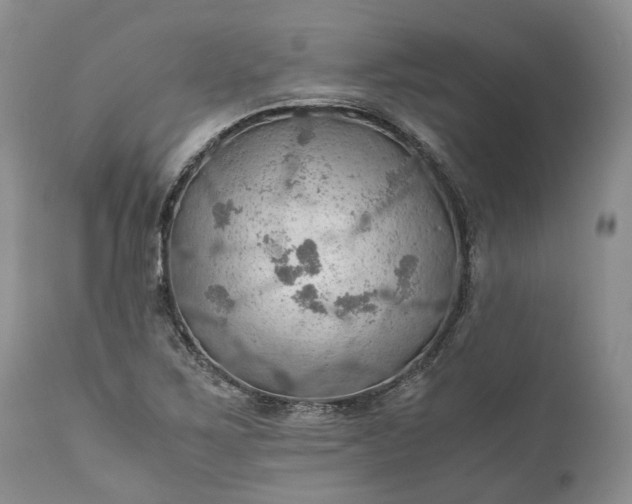 X0000111031267200907091536