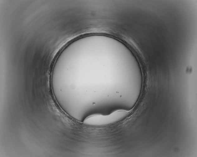 X0000111031268200907091536