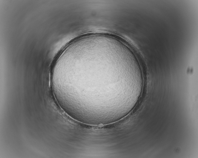 X0000111031269200907091536