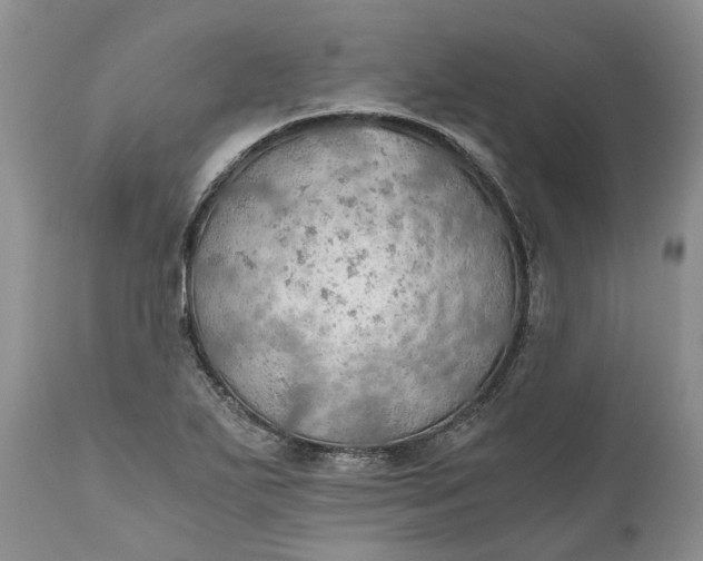 X0000111031271200907091536