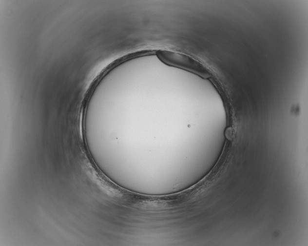 X0000111031272200907091536