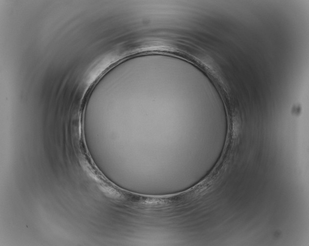 X0000111031274200907091536