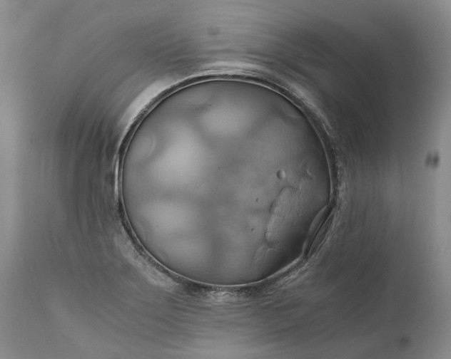 X0000111031275200907091536