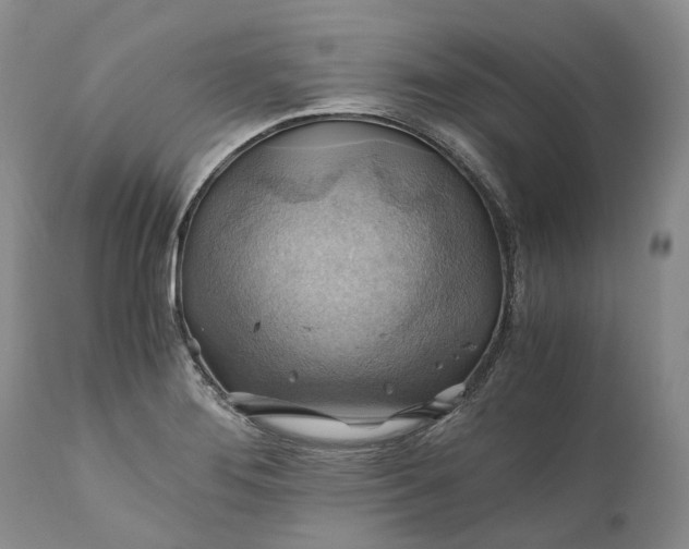 X0000111031276200907091536