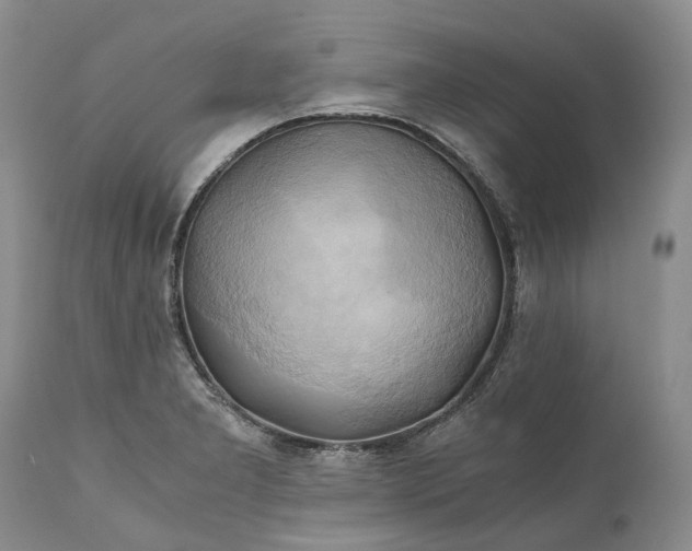 X0000111031277200907091536