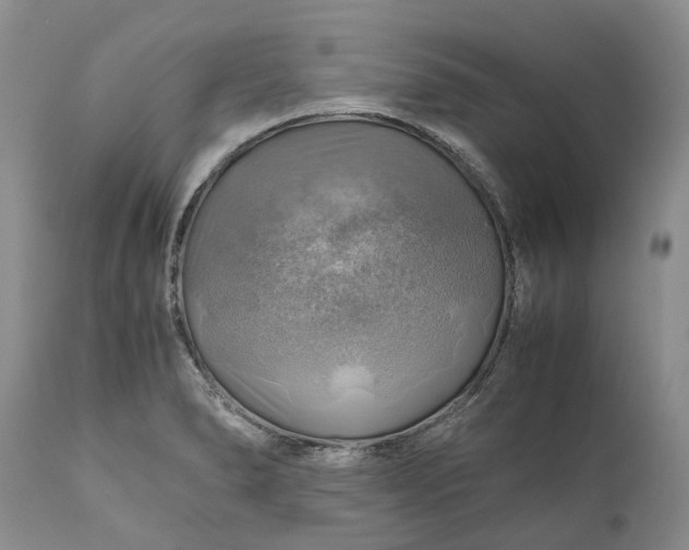 X0000111031278200907091536