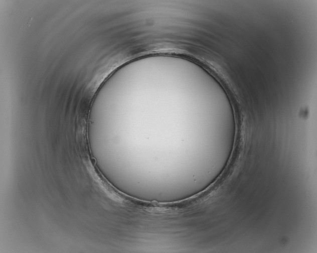 X0000111031281200907091536