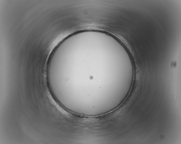 X0000111031285200907091536