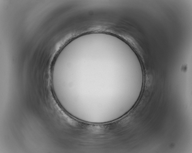 X0000111031286200907091536