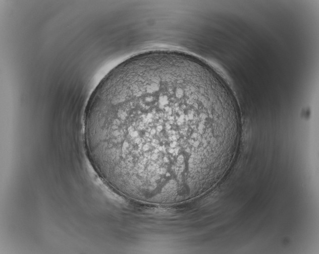 X0000111031287200907091536